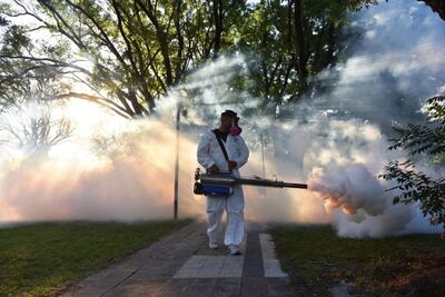 La Plata: Continúa la fumigación contra el dengue en San Carlos