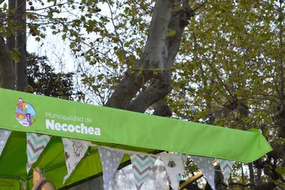 Necochea: Convocan a emprendimientos productivos para ser parte del Encuentro de Peñas Folclóricas