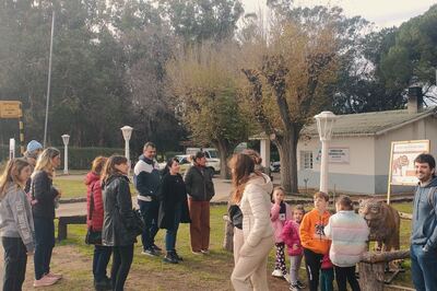 Necochea: El fin de semana largo dejó saldo positivo para el turismo local