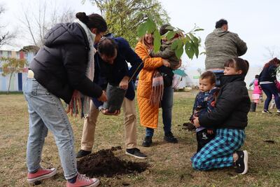 Olavarría: Plantan más de 50 árboles de especies nativas en los barrios Belén y Evita