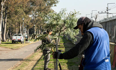 Almirante Brown: Realizaron una jornada de forestación con especies nativas en la estación de Claypole