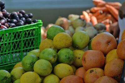 Olavarría: Abrió la inscripción al Programa de Fomento a la Fruticultura Bonaerense