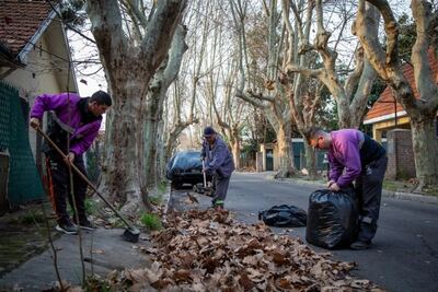 Quilmes: Llevan adelante diversos operativos de limpieza en distintos puntos del distrito