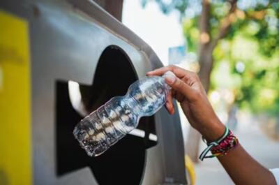 Berisso: La iniciativa "Día Verde" recorrerá los barrios
