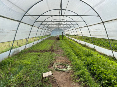 25 de Mayo: Realizan una nueva capacitación del programa “Cultivar 25”