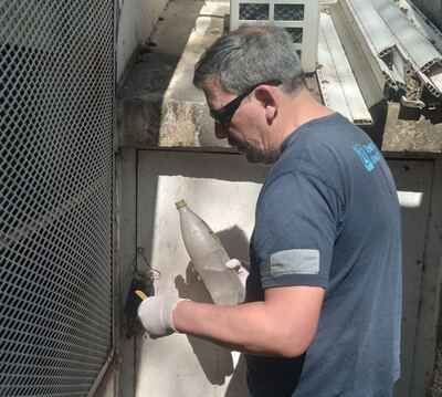 Junín: Continúan las acciones de la Municipalidad para la prevención del dengue