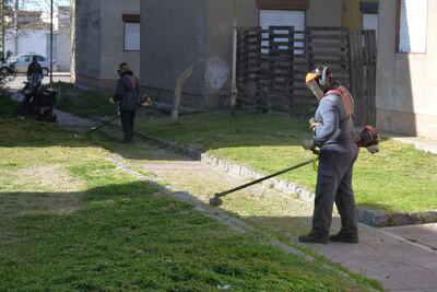 Olavarría: Llevan adelante trabajos de limpieza y mantenimiento en el barrio Amparo Castro