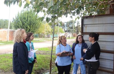 La  Plata: La Comuna intensifica las tareas de prevención del dengue