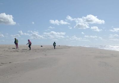 Villa Gesell: Se intensifican los trabajos de limpieza de playas