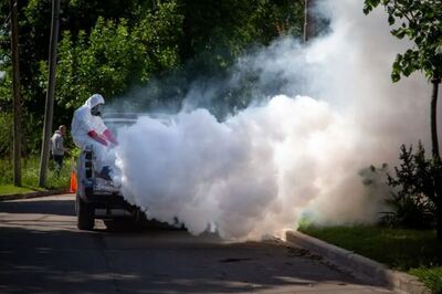 Quilmes: Intensifican los operativos simultáneos de fumigación contra el dengue