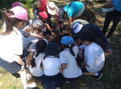 La Plata: El Parque Ecológico lanza diversas propuestas gratuitas para noviembre