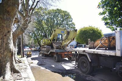 La Plata: Comenzaron las obras de repavimentación para mejorar el acceso al Hospital de Niños