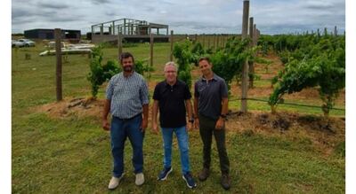 Madariaga: La bodega Gamboa continúa con sus avances de cara a su apertura