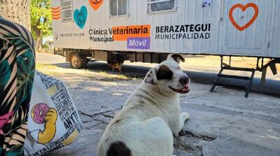 Berazategui: Llegan nuevas jornadas veterinarias municipales de salud animal