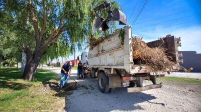 Mar del Plata: El Municipio retira más de 400 toneladas de residuos al mes en distintos barrios de la ciudad
