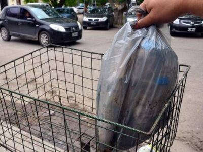 Berisso: Así funcionarán los servicios de recolección durante el feriado de Carnaval
