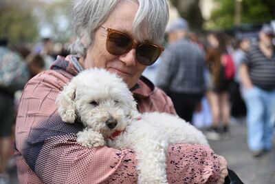 La Plata: Llegan nuevas jornadas gratuitas de vacunación para perros y gatos a City Bell