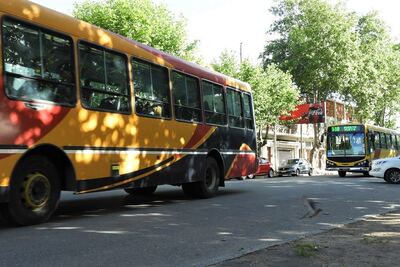Necochea: El domingo habrá cambios temporales en las líneas 511 y 512 por “La Pasión de Cristo”