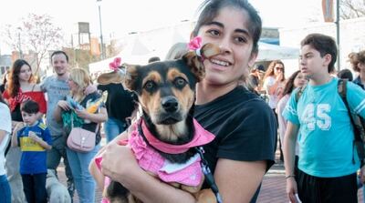 Berazategui: Se viene la celebración del Día del Animal y el cumpleaños de la Clínica Veterinaria Municipal
