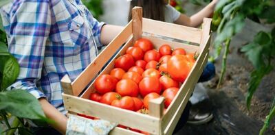 La Costa: Se lanzó el programa “Agricultura Familiar en Marcha”