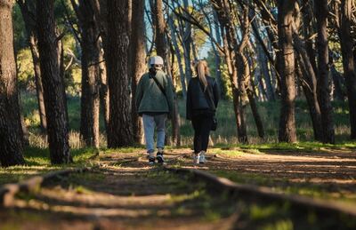 Necochea: Llegan diversas actividades para el próximo fin de semana