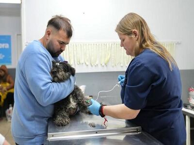 Lomas de Zamora: Se realizaron más de 120 castraciones gratuitas por el Día de la Zoonosis