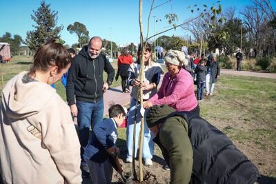 Bahía Blanca: Se realizaron tareas de reforestación en el Parque Independencia