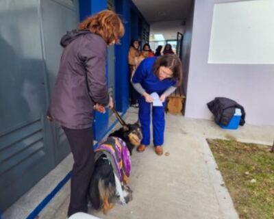 Villa Gesell: Se realizó una nueva jornada veterinaria en el CAPS Norte