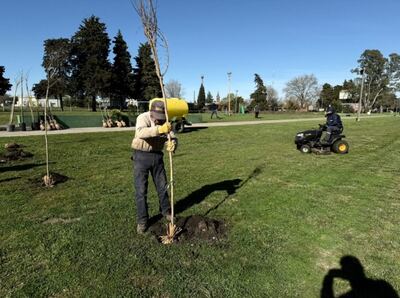Olavarría: Plantan nuevos árboles en el Parque Mitre de Hinojo