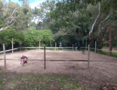 Villa Gesell: Se trabaja en el predio para la reinstalación de "La Golondrina"