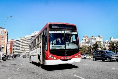 En octubre aumenta el transporte público de pasajeros