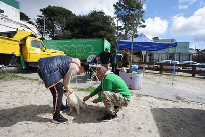 Villa Gesell: Continúan las jornadas de atención veterinaria básica en los barrios