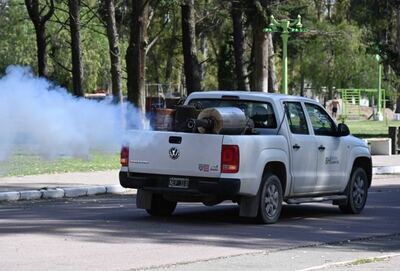 Bahía Blanca: Avanza el plan municipal de fumigación