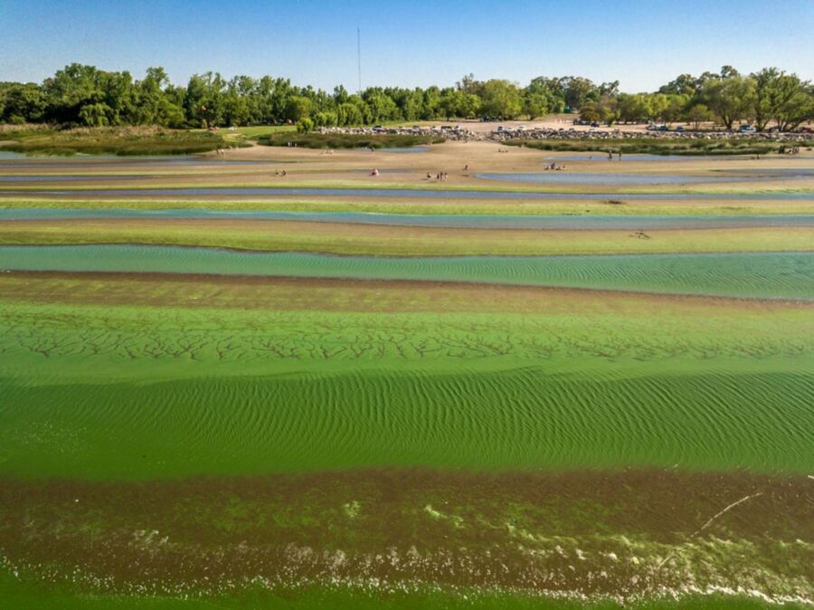 Suben a naranja el alerta por la presencia de cianobacterias en el Río de la Plata