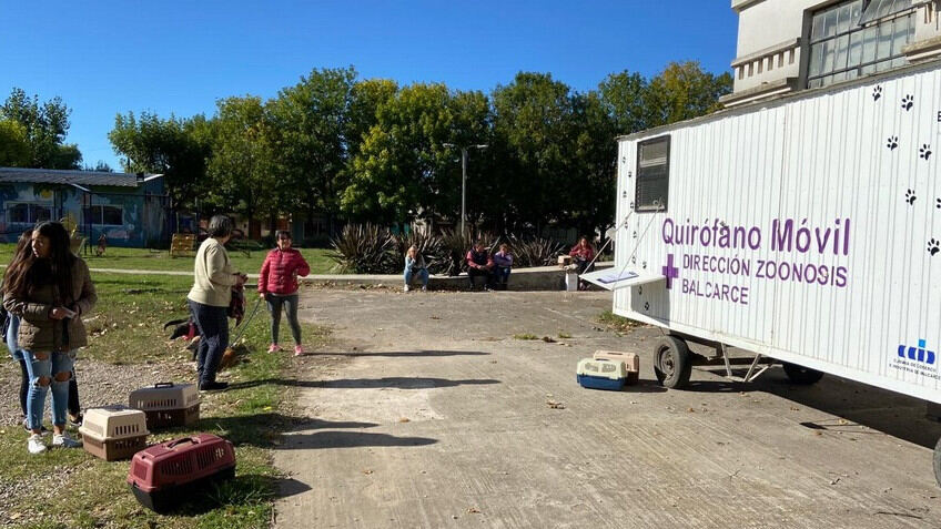 Balcarce: Se realizarán castraciones gratuitas de perros y gatos en el barrio "La Alborada"