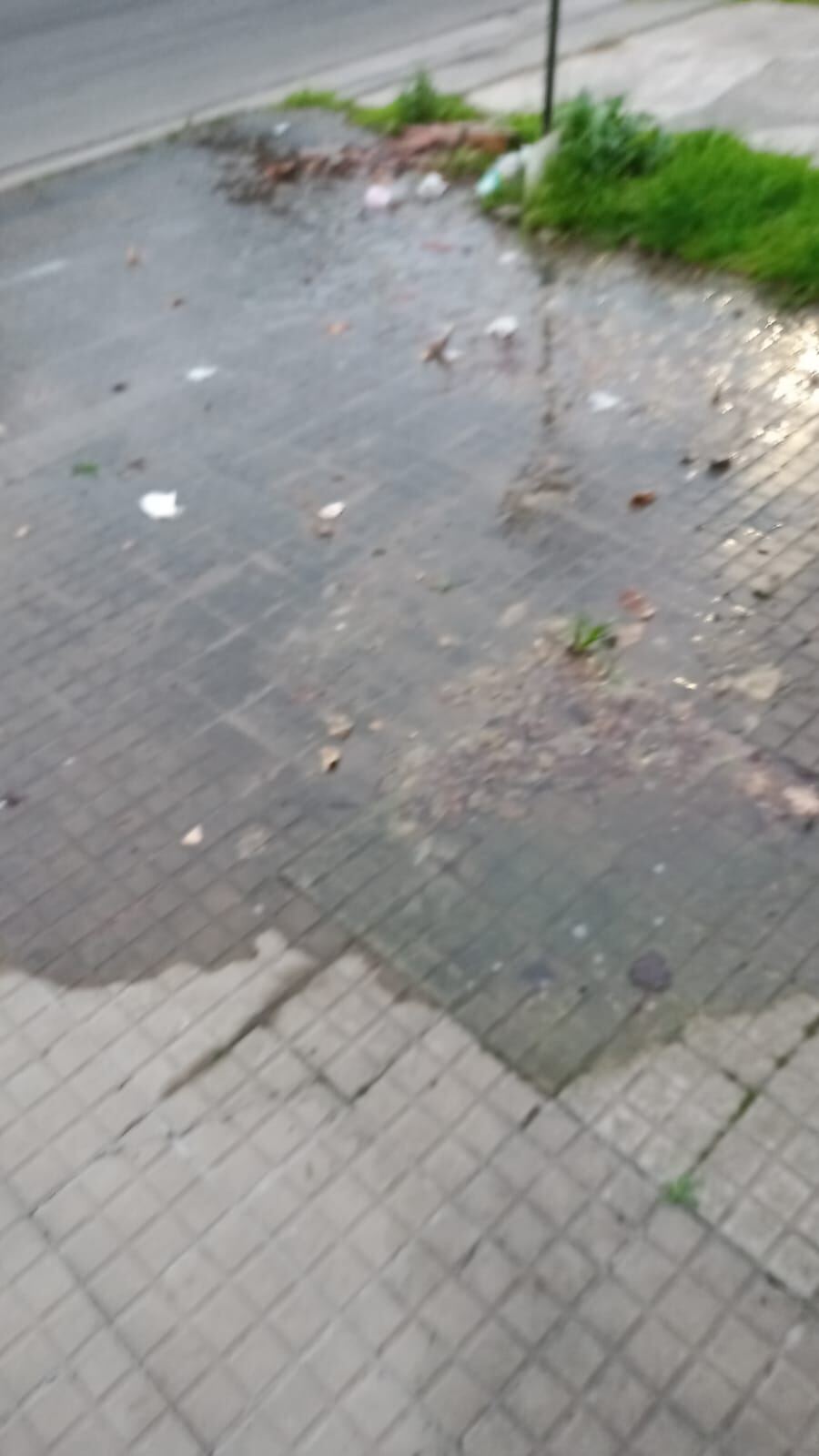 La Plata: Vecinos reclaman el arreglo de una pérdida de agua de más de 6 meses