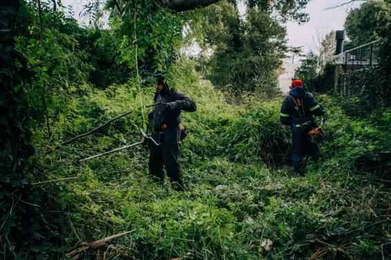 Mar del Plata: La Comuna limpió y acondicionó un terreno abandonado en La Florida