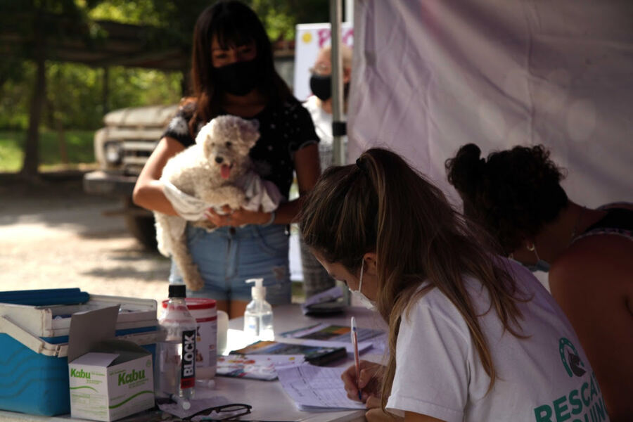 La Plata: La vacunación antirrábica gratuita llega a Los Hornos, Villa Elvira, Abasto y el Casco Urbano