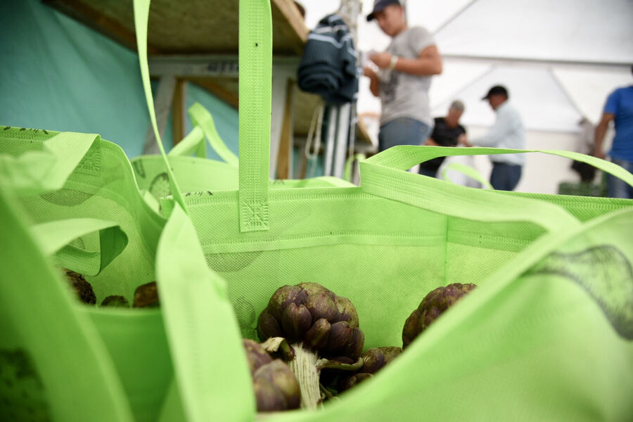 La Plata: La ciudad se prepara para la Fiesta del Alcaucil