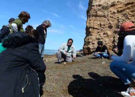 Mar del Plata: Se suma un nuevo hallazgo para el patrimonio paleontológico de la ciudad