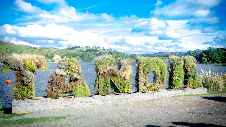 Tandil: Ya puede completarse la encuesta sobre convivencia y resolución de conflictos