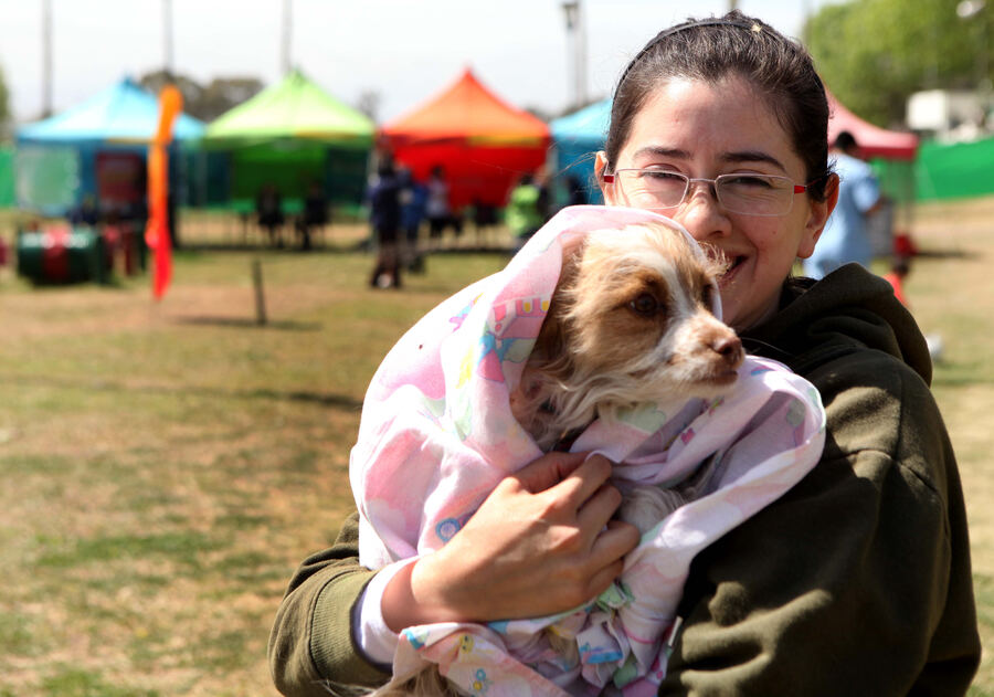 La Plata: La vacunación veterinaria gratuita llega a Los Hornos, Arturo Seguí y el Casco Urbano