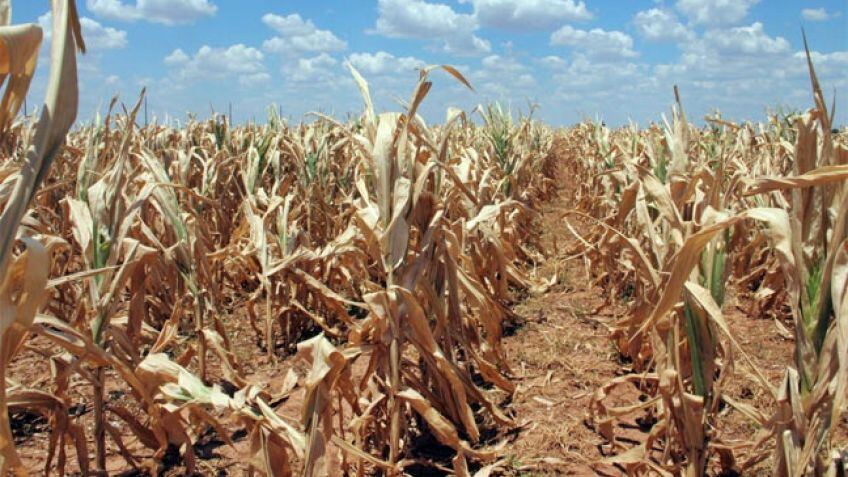 Tandil: Confirmaron la declaración de Emergencia Agropecuaria en el Partido