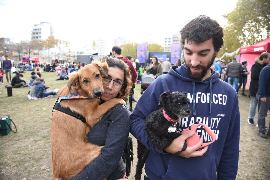 La Plata: La vacunación antirrábica gratuita estará esta semana en Sicardi, San Carlos y el Casco Urbano.