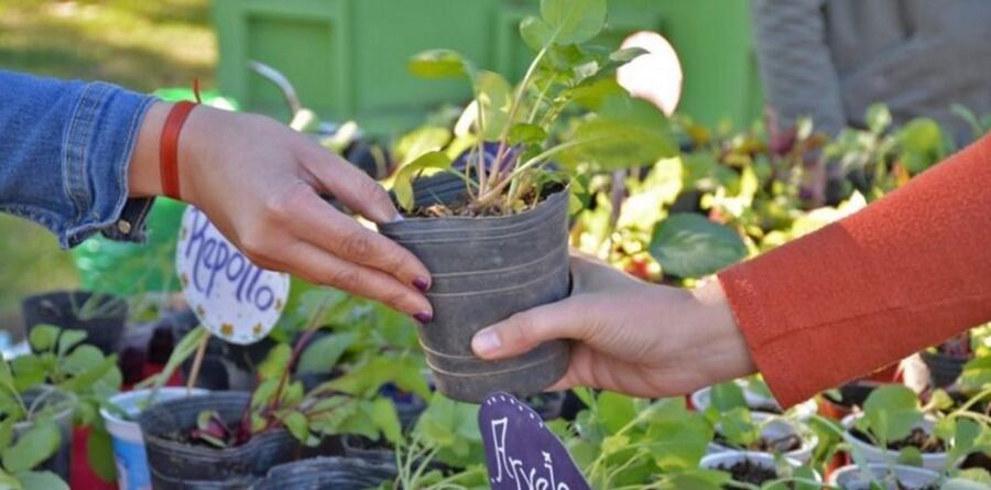 Tres Arroyos: Continúan las jornadas de Eco-canje en la ciudad