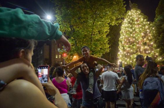 Mar del Plata: Se encendió el Árbol Navideño en Plaza San Martín