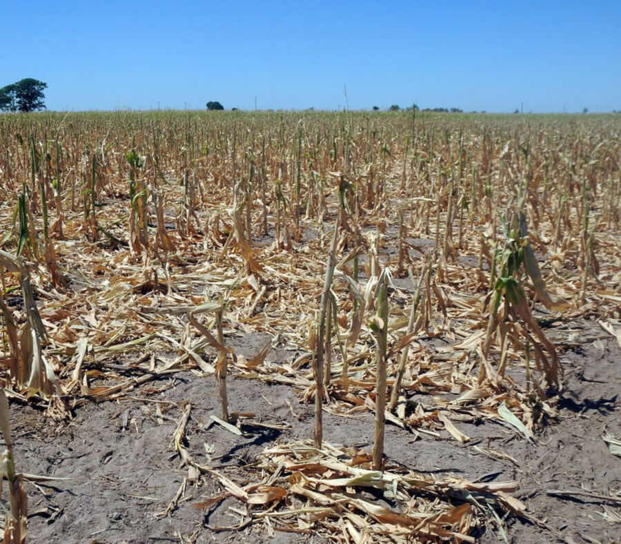 El Gobierno bonaerense prorrogó hasta marzo la emergencia agropecuaria e incorporó nuevos partidos