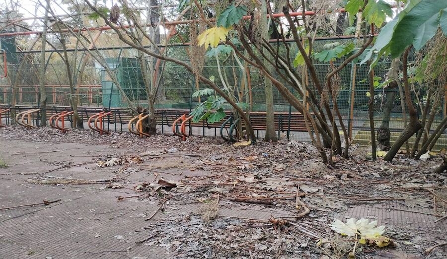 La Plata: Maguila lanza una sorpresiva campaña para este 2023
