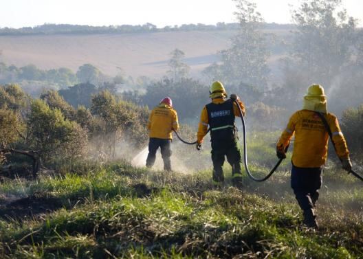 Mar del Plata: El Municipio advierte por altas probabilidades de generación de incendios forestales