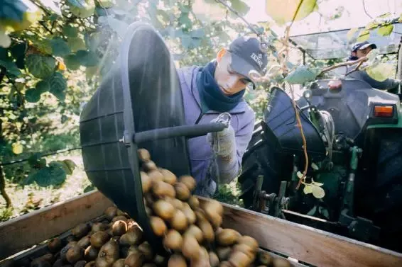 Mar del Plata: El Municipio convoca a productores a participar en la Exposición de Producto Local en EXPOTAN 2023